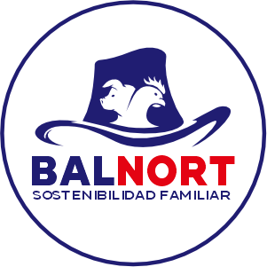 logo_balnort